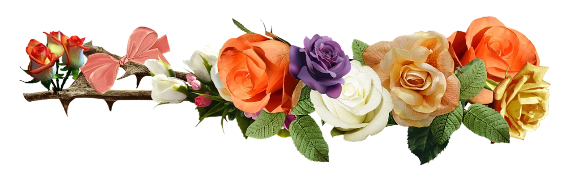 a close up of a bunch of flowers on a branch, a colorized photo, inspired by François Boquet, rose crown, deep purple and orange, made with photoshop, white roses