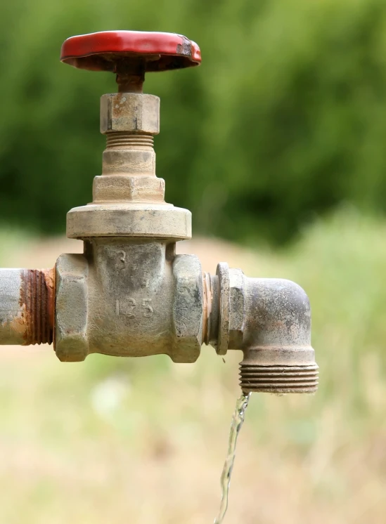 a close up of a faucet with water coming out of it, shutterstock, rural, pipes, 8 0 mm photo, stock photo