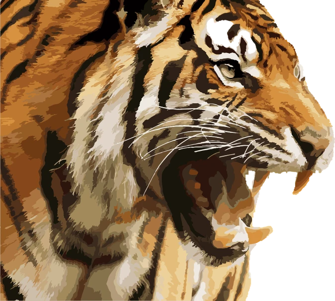 a close up of a tiger with its mouth open, vector art, inspired by Augustin Meinrad Bächtiger, shutterstock, high detailed oilpainting, a beautiful artwork illustration, looking furious, painterly illustration