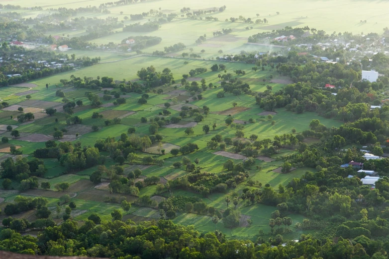 an aerial view of a golf course surrounded by trees, a stock photo, by Julian Allen, shutterstock, early morning light fog, thailand, depth of field”, above a village