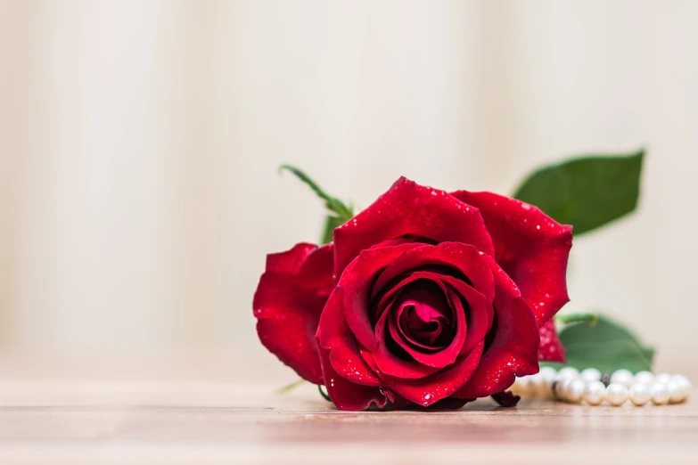 a red rose sitting on top of a wooden table, a stock photo, close-up product photo, jewelry photography, shallow focus background, highly detailed product photo