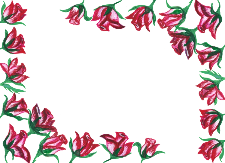 a frame of red flowers on a black background, a digital painting, rough color pencil illustration, rose background, simple background, rotated left right front back