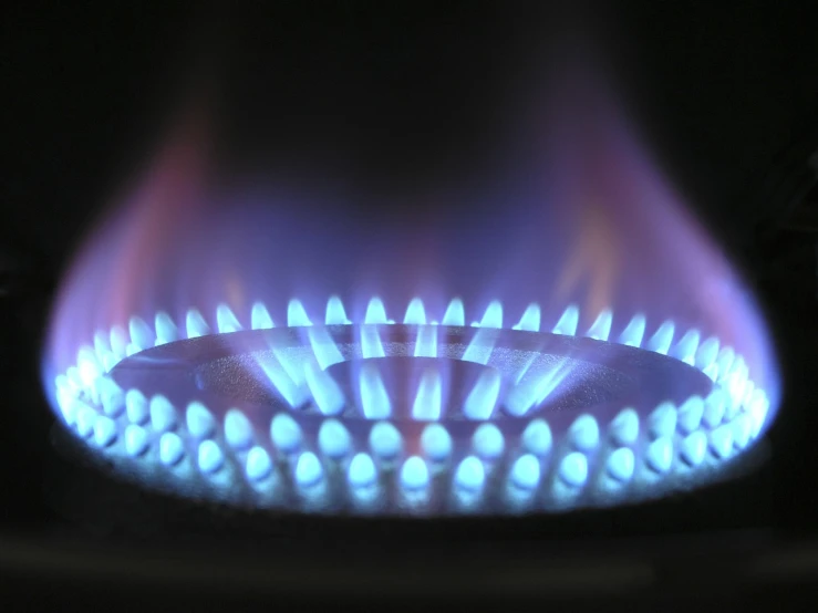 a close up of a gas stove with blue flames, a photo, by Stefan Gierowski, round-cropped, halogen, a brightly colored, pictured from the shoulders up