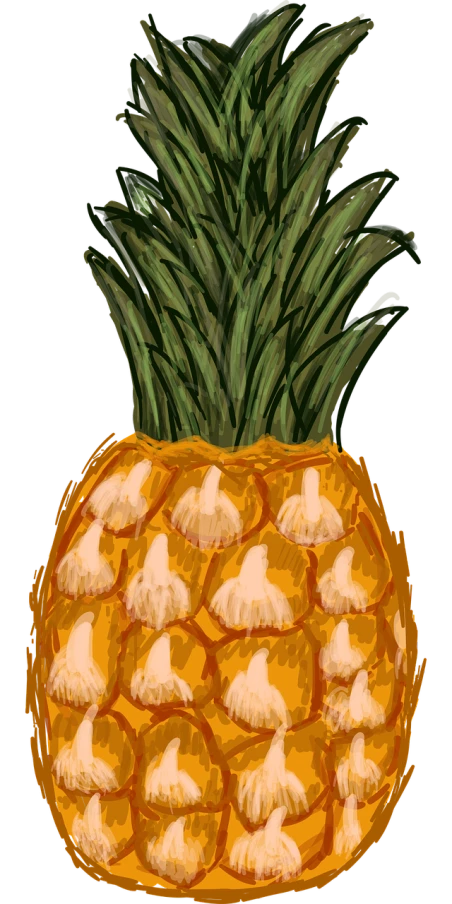 a close up of a pineapple on a black background, a digital painting, by Ben Thompson, process art, cartoon illustration, iphone photo, very accurate photo, sketch illustration