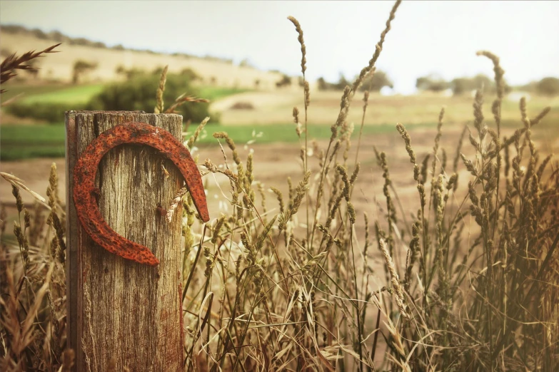 a rusted horseshoe sitting on top of a wooden post, a digital rendering, by Alexander Robertson, unsplash, land art, red grass, on a hot australian day, harvest, shepherd's crook