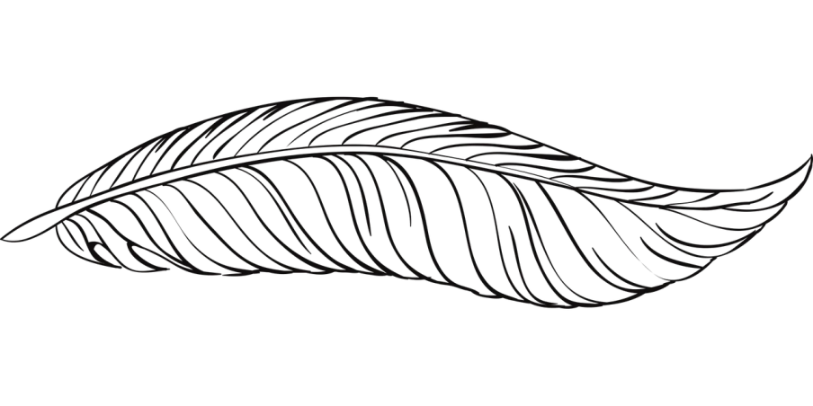 a black and white drawing of a leaf, hurufiyya, on a flat color black background, website banner, made of feathers, plain black background