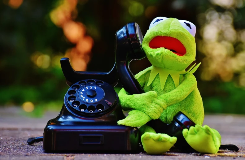 a close up of a stuffed animal on a phone, pexels, kermit the frog, flirting, ready for a meeting, 480p