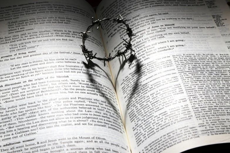 a crown of thorns sitting on top of an open book, (heart), journalistic photo, full - body, words