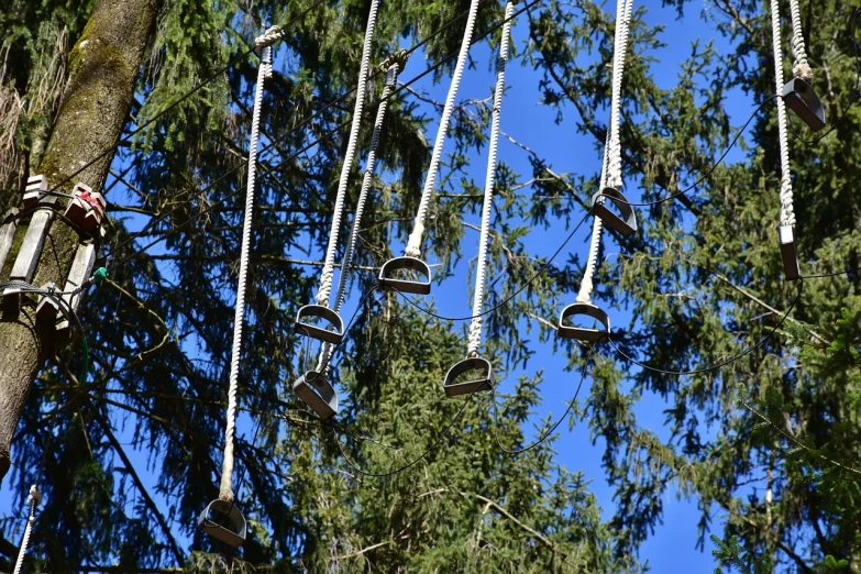 a bunch of lights hanging from a tree, by Dietmar Damerau, adventure playground, whistler, ((trees)), beautiful day