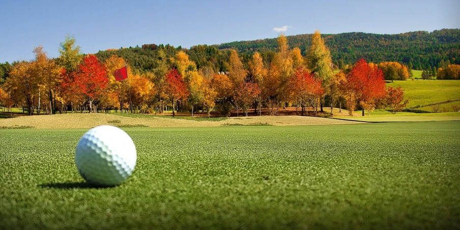 a golf ball sitting on top of a green field, a picture, by Jesper Knudsen, autumn foliage in the foreground, black forest, banner, quebec