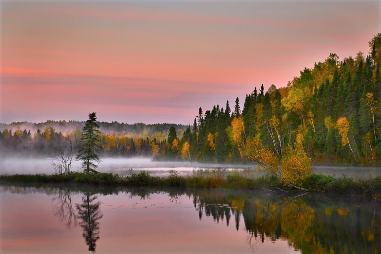 a large body of water surrounded by trees, by Erik Pevernagie, flickr, tonalism, sunrise colors, canada, pink fog background, autum