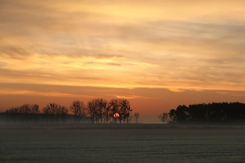 the sun is setting over a field of grass, a picture, by Gerard Soest, flickr, romanticism, orange mist, forest on the horizont, february), orange halo