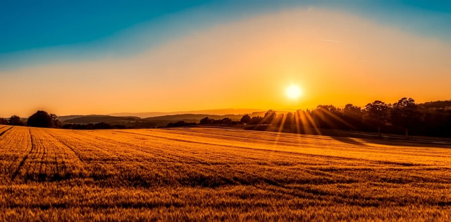 the sun is setting over a field of wheat, a stock photo, by Thomas Häfner, shutterstock, romanticism, ultrawide landscape, sunset in a valley, shot on nikon z9, solar rays