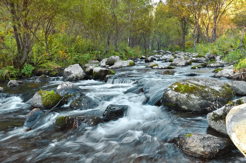 a river running through a lush green forest, a picture, by Koloman Sokol, shutterstock, romanticism, in an evening autumn forest, white water rapids, siberia!!, last photo
