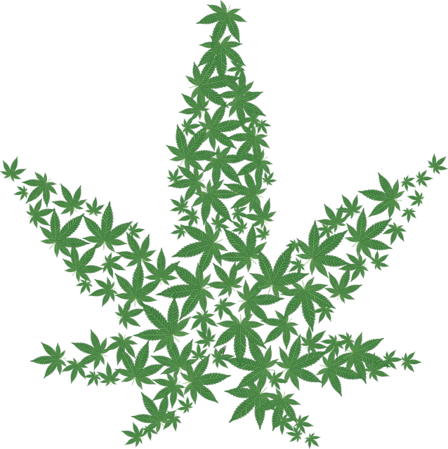 a green marijuana leaf on a black background, inspired by Mary Jane Begin, pixabay, digital art, made of flowers and leaves, 2 0 5 6 x 2 0 5 6, stylized silhouette, ivy vine leaf and flower top