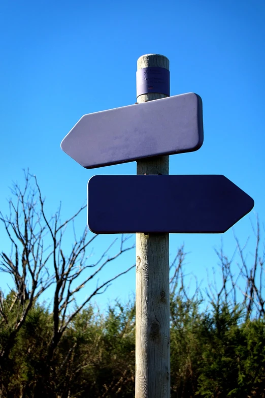 a close up of a street sign with trees in the background, by Dietmar Damerau, flickr, postminimalism, blue and purple, with two arrows, a wooden, field