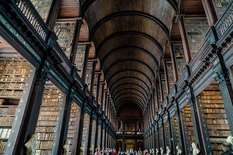 a long room filled with lots of books, by Eamon Everall, tourist photo, photo taken of an epic intricate, high quality photo, archs and columns