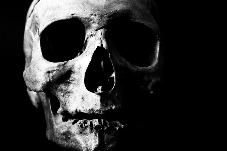 a black and white photo of a skull, a portrait, by Bernardino Mei, pexels, mouth of hell, high contrast!, human skeleton, background image