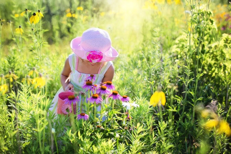 a little girl picking flowers in a field, a picture, by Robert Childress, pexels, wearing wide sunhat, pink yellow flowers, garden environment, sparkling in the sunlight