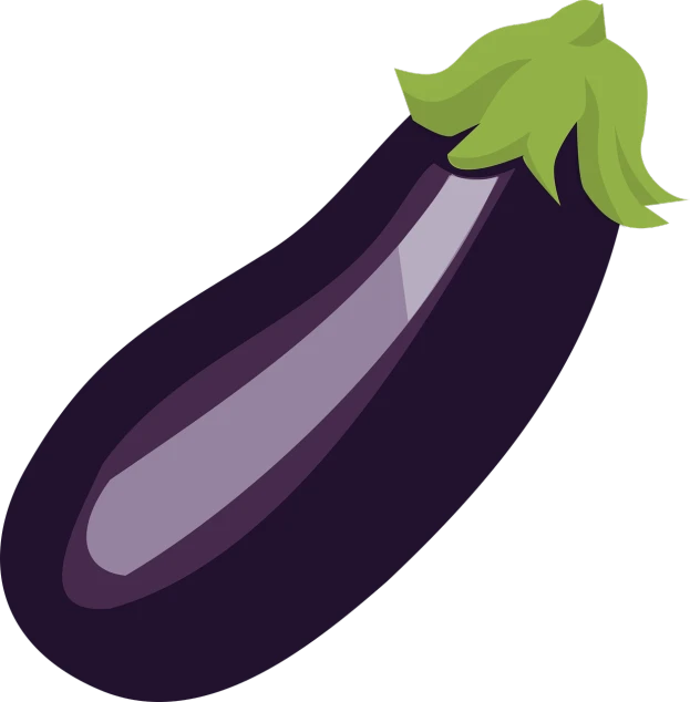 a purple eggplant with a green stem, inspired by Masamitsu Ōta, pixabay, sōsaku hanga, with straight black hair, epic smooth illustration, mark zuckerberg as a zucchini, full color illustration