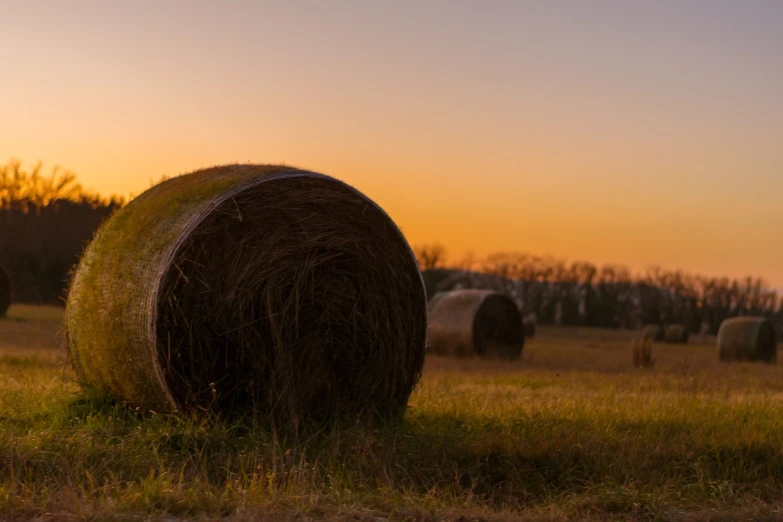 a group of hay bales sitting on top of a grass covered field, a picture, shutterstock, autumn sunset, half image, ultra wide-shot, b - roll
