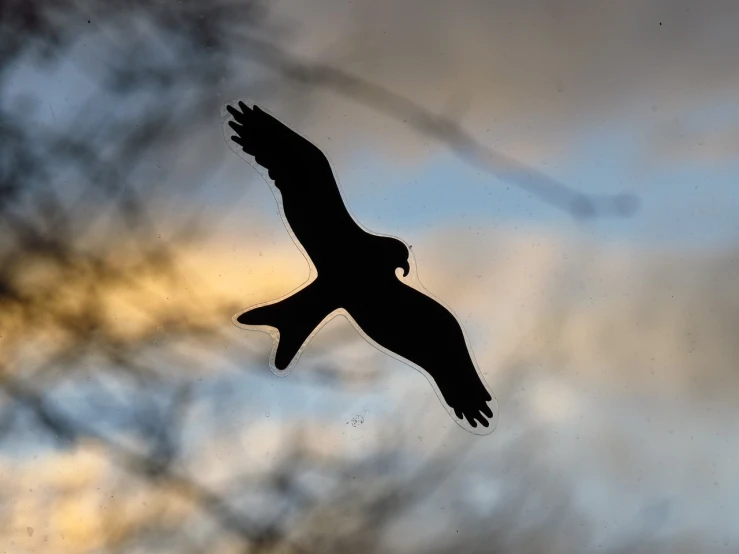 a bird that is flying in the sky, by Jan Rustem, hurufiyya, siluette, hawk, martin mottet, light wind
