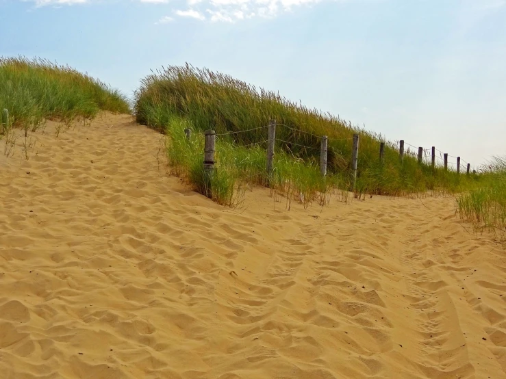 a fence sitting on top of a sandy beach, by Edward Corbett, pixabay, walking over sand dunes, banner, there is tall grass, graafland