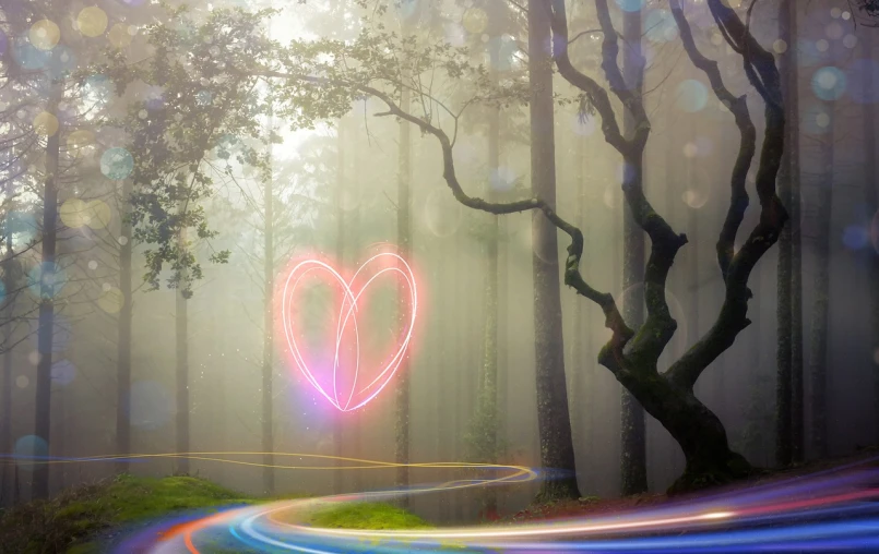 a light painting of a heart in the middle of a forest, romanticism, rainbow road, foggy forrest backdrop, swirly bokeh, love is the most relevant theme