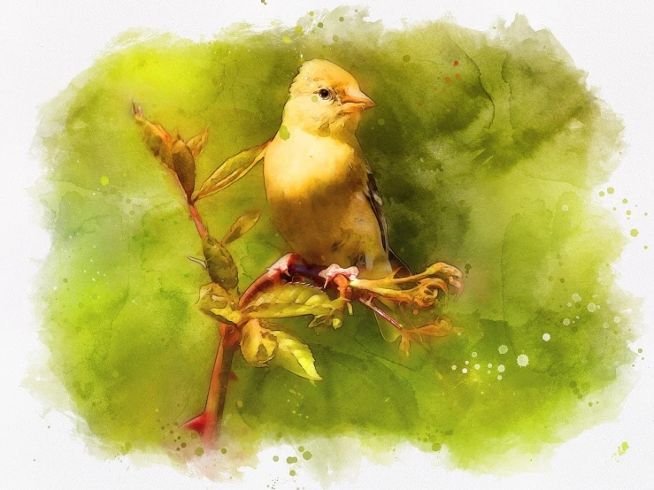 a watercolor painting of a yellow bird perched on a branch, a digital painting, trending on pixabay, process art, with soft bushes, innocent look. rich vivid colors, lime and gold hue, oil in canvas style