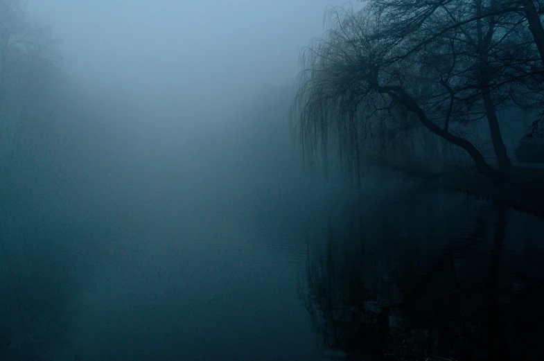 a body of water surrounded by trees on a foggy day, by Elsa Bleda, flickr, tonalism, weeping willows, soft blue moonlight, eerie ”