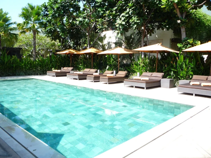 a pool with lounge chairs and umbrellas next to it, shutterstock, minimalism, jakarta, lush and green, small wellness relaxation pool, on a sunny day