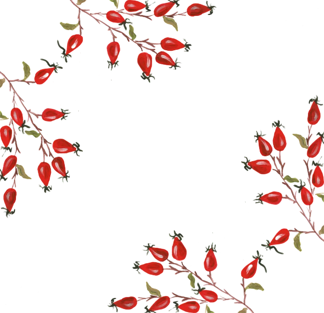 a wreath of goji berries on a black background, a digital rendering, tumblr, art nouveau, background image, rose background, crimson - black color scheme, snapchat photo