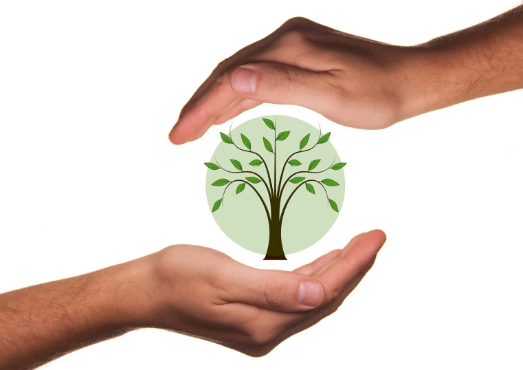two hands holding a tree with green leaves, a picture, by Ramón Silva, pixabay, ecological art, circular, industries, with a white background, background image