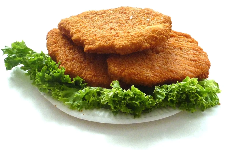 a close up of a plate of food with lettuce, dau-al-set, battered, filleting technique, without background, hamburgers