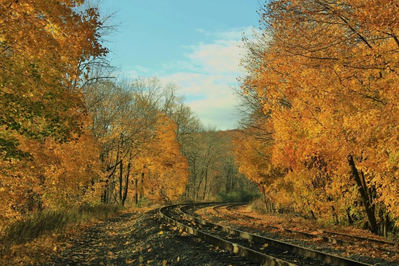 a train track in the middle of a wooded area, by Alison Geissler, flickr, hudson river school, rich decaying colors!, leaves in the air, sky, hi-res photo