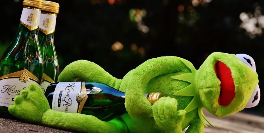 a green stuffed animal laying next to a bottle of beer, inspired by Károly Brocky, pixabay contest winner, happening, champagne, green goblin, the muppets, evening sun