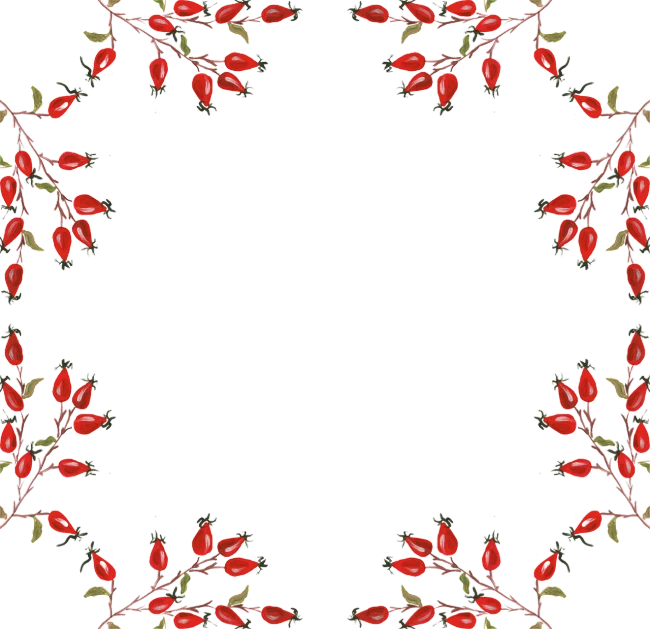 a black background with red flowers and green leaves, a digital rendering, tumblr, pomegranade, empty background, symmetrical illustration, willowy frame