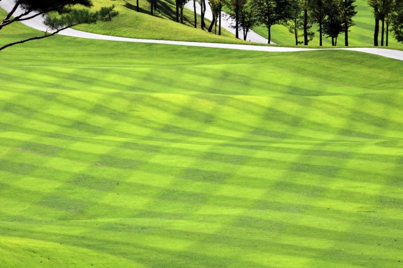 a golf course with green grass and trees, by Yi Jaegwan, pixabay, op art, turkey, shot on 70mm, morning detail, hillside