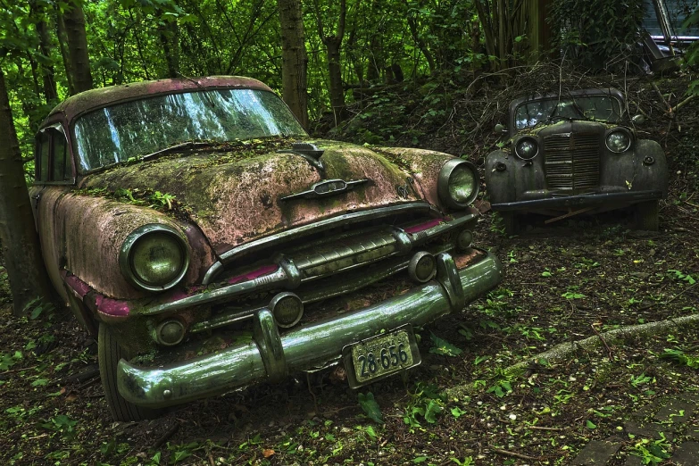 two old cars parked next to each other in the woods, a portrait, by Dan Christensen, pixabay, photorealism, junk on the ground, face shot, cinematic front shot, old and wrinkled