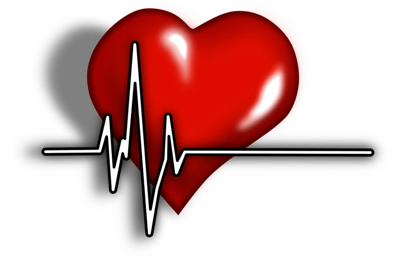 a red heart with a cardiogram on it, pixabay, hurufiyya, biological photo, clip-art, stick, silver