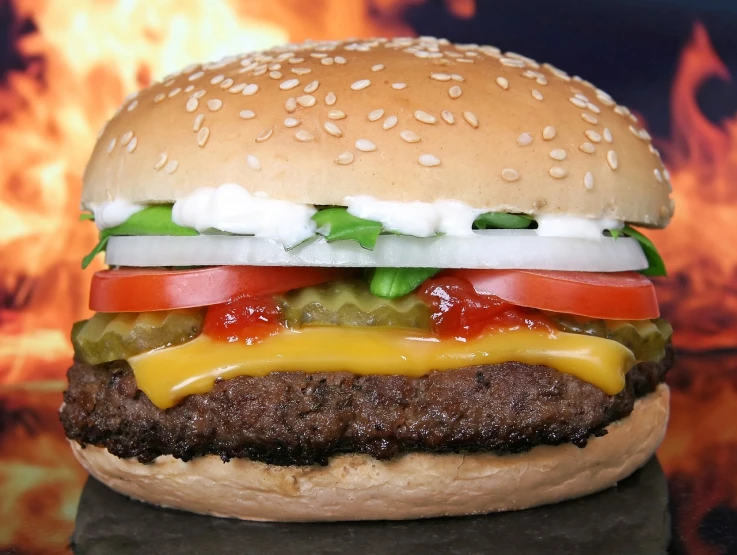 a hamburger with cheese, tomato, and lettuce on a bun, a picture, by Jay Hambidge, pexels, hyperrealism, (fire), video still, 🕹️ 😎 🔫 🤖 🚬, scenic full shot