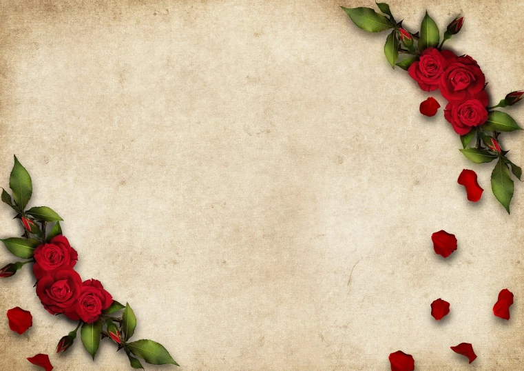 a paper background with red roses and leaves, trending on pixabay, romanticism, old parchment, ; wide shot, ¯_(ツ)_/¯