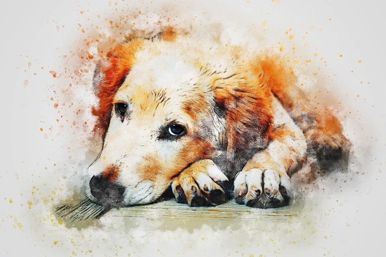 a large brown dog laying on top of a wooden floor, a watercolor painting, shutterstock, art photography, mixed media style illustration, heartbreaking, nice face, a beautiful artwork illustration