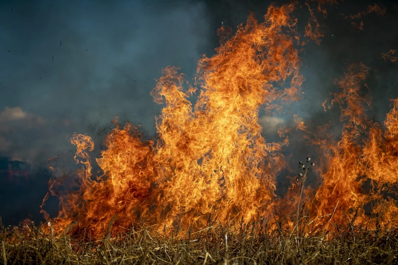 a large fire in the middle of a field, shutterstock, figuration libre, phragmites, bottom angle, anton fedeev, ferocious appearance