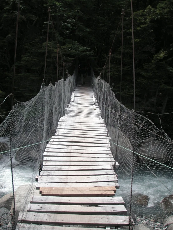 a suspension bridge over a river in a forest, inspired by Shūbun Tenshō, flickr, net art, patagonian, cobwebs, watch photo