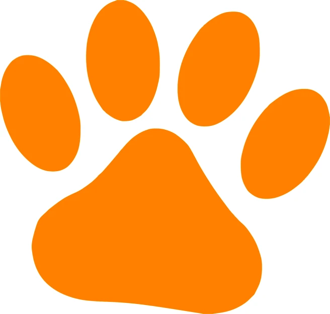 an orange paw print on a white background, high school mascot, memphis, zoo, information