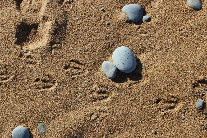 a group of rocks sitting on top of a sandy beach, a photo, inspired by Andy Goldsworthy, footprints in the sand, detailed zoom photo, blue and gray colors, maui