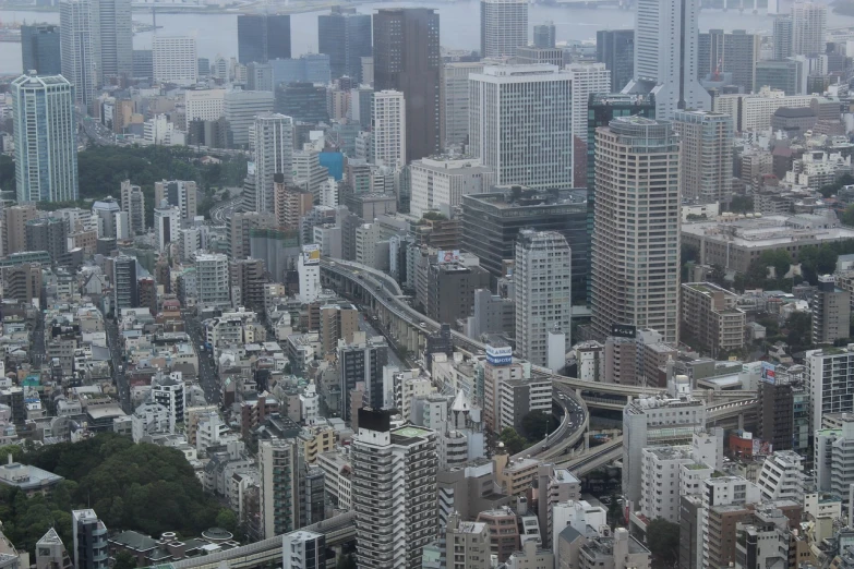 a large city filled with lots of tall buildings, flickr, sōsaku hanga, serpentine curve!!!, very detailed curve, concentrated buildings, lots of bridges