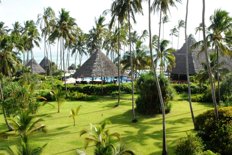 a lush green lawn surrounded by palm trees, by Denis Eden, flickr, hurufiyya, thatched roofs, overlooking the beach, afar, family friendly