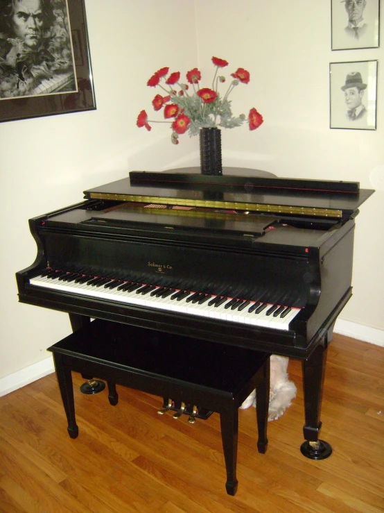 a black piano sitting on top of a hard wood floor, by Nancy Spero, front side views full, canada, completely new, bautiful